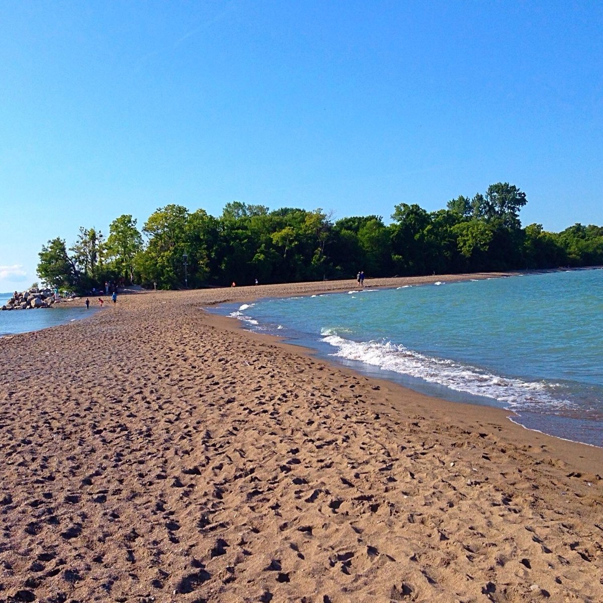 POINT PELEE NATIONAL PARK (2025) - All You MUST Know Before You Go