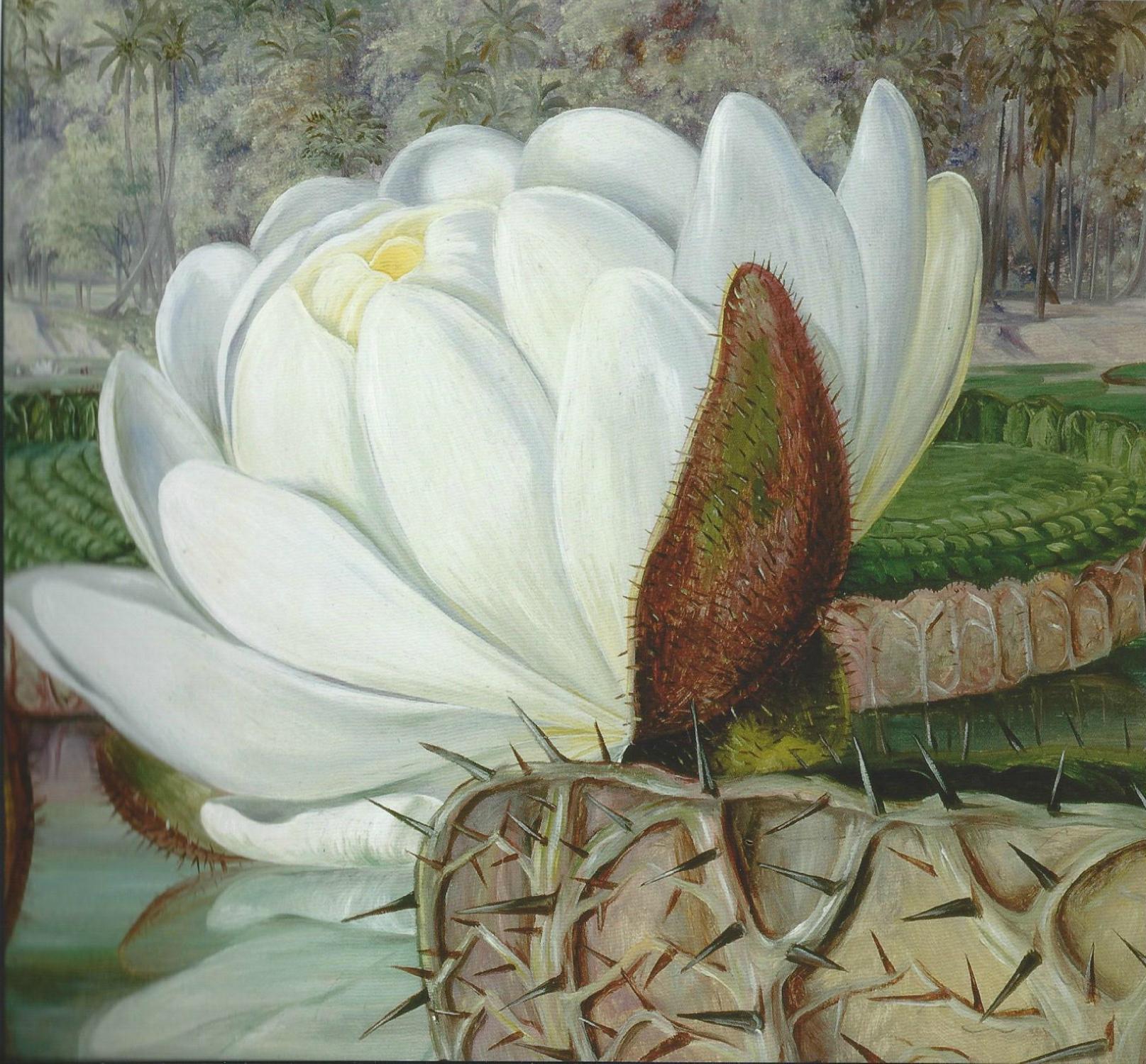 Marianne North Gallery All You Must Know BEFORE You Go with Photos