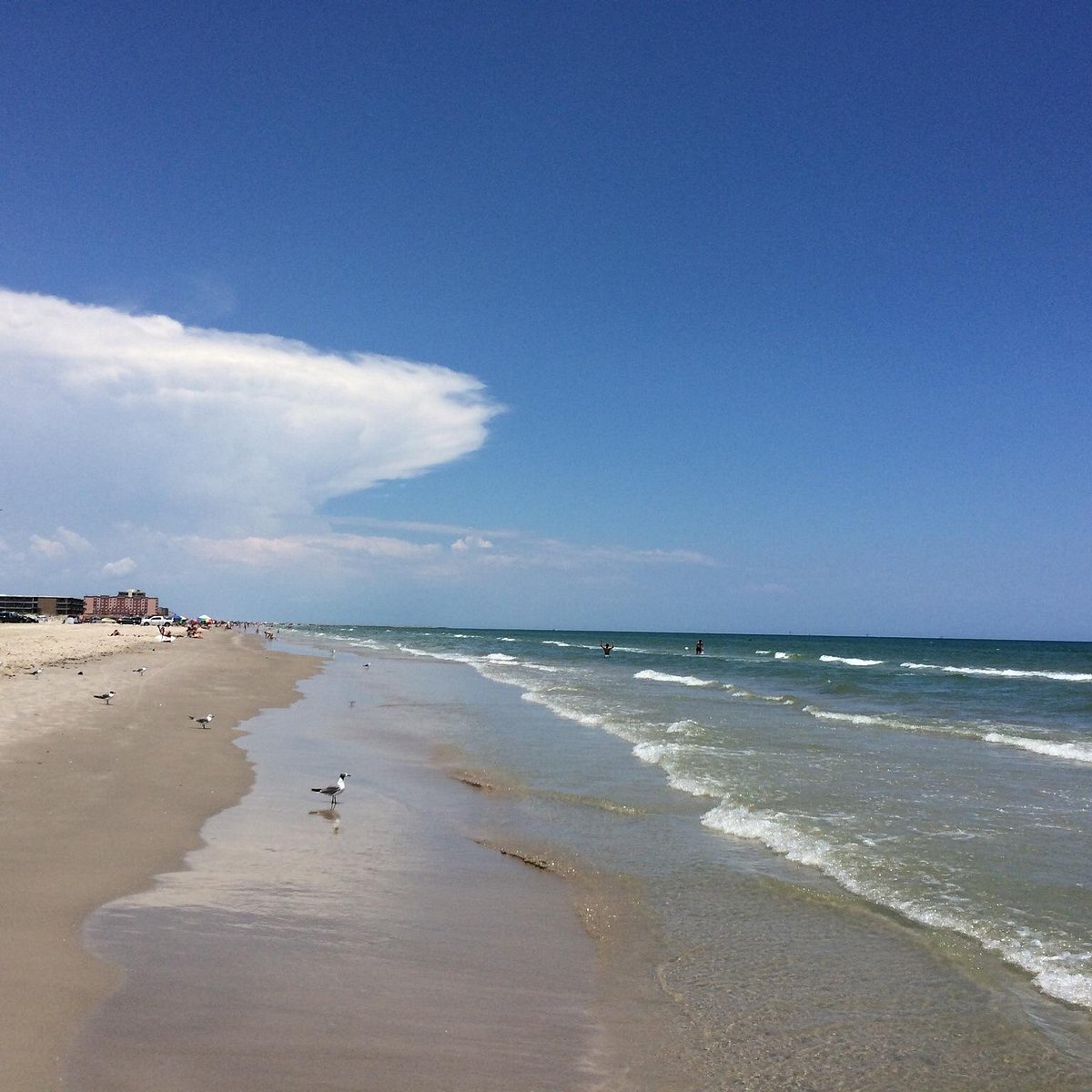 Padre Island Sea Wall Beach (Corpus Christi) - All You Need to Know BEFORE  You Go