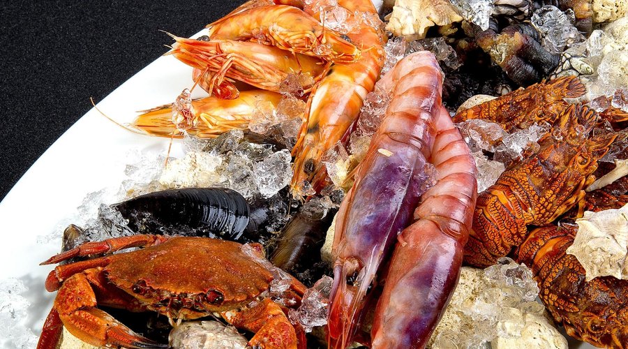 Festa de cores e sabores!