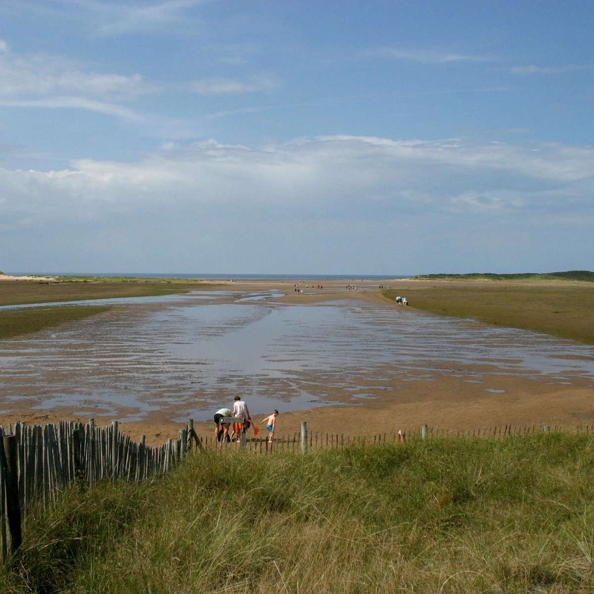 HOLKHAM NATIONAL NATURE RESERVE - 2022 What to Know BEFORE You Go