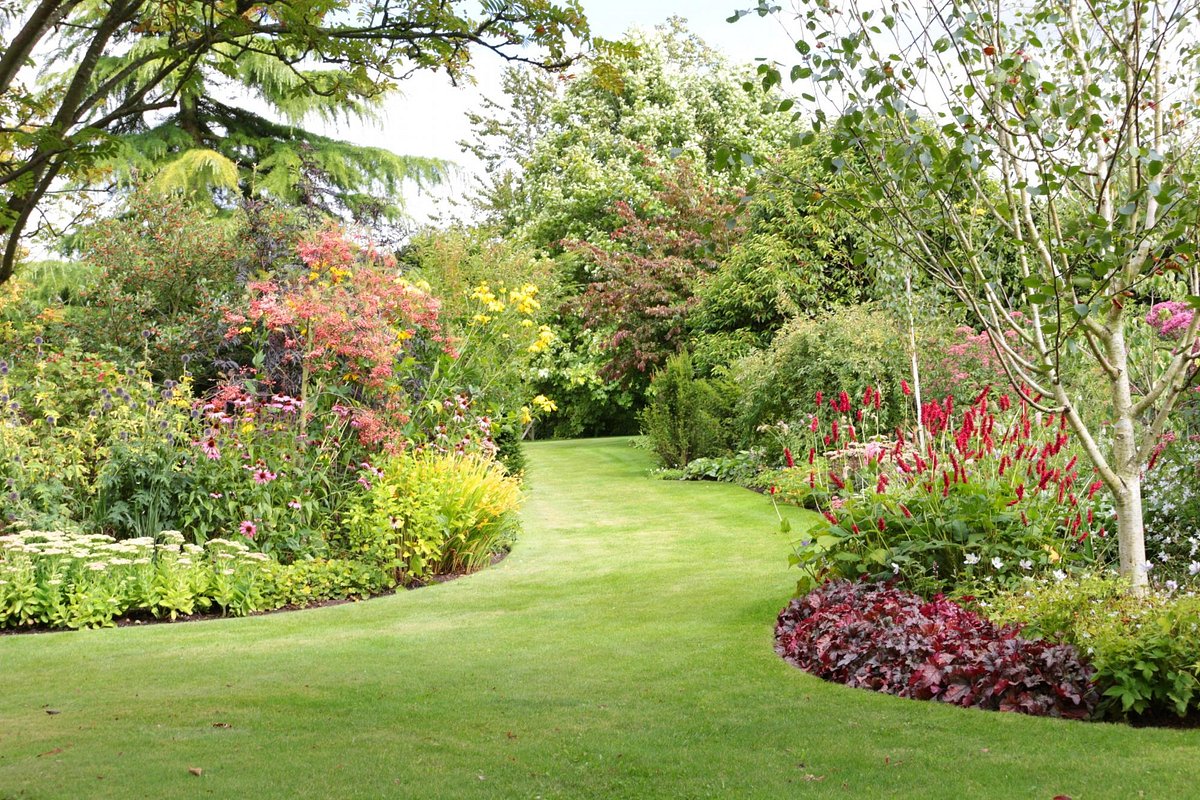 Using “dune sand” for our garden needs