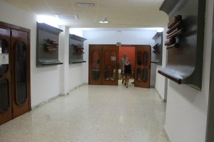 Viaggiatori