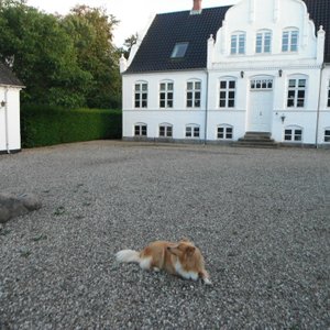 Hovedbygning