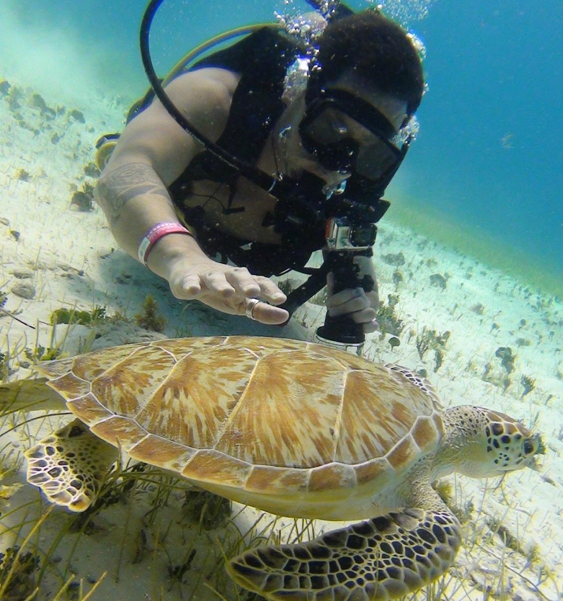 Cancun Scuba For You All You Need To Know Before You Go