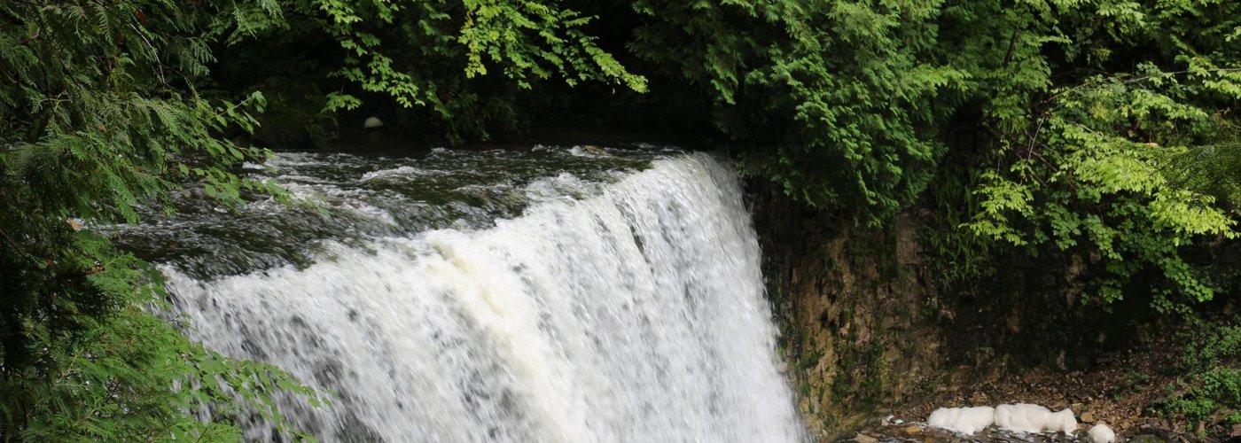 Hoggs Falls