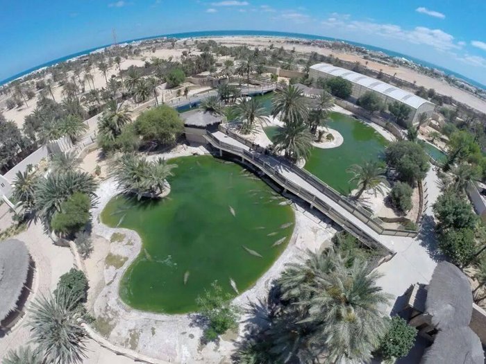 Djerba Explore Park