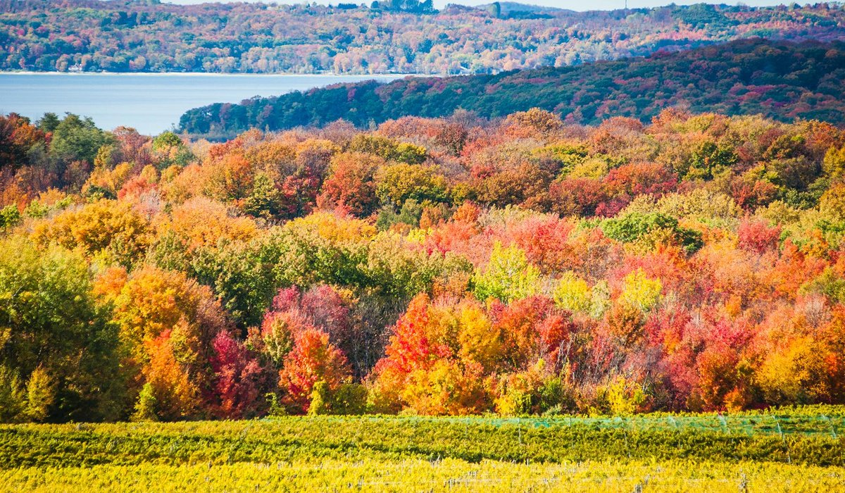 Best Things To Do in Traverse City, Michigan  