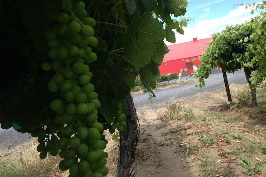 Alexandria Nicole Cellars image