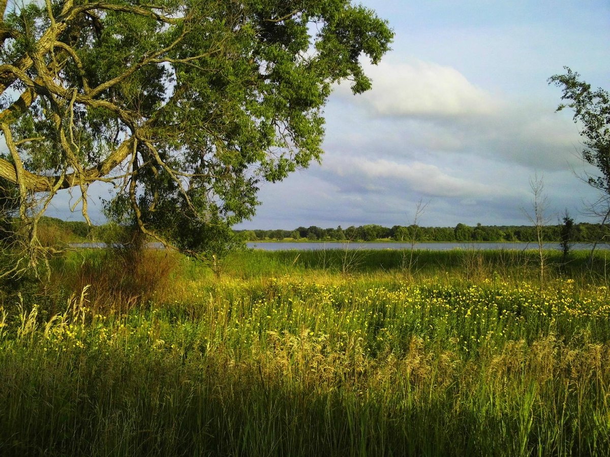 Glendalough State Park (Battle Lake) - All You Need to Know BEFORE You Go