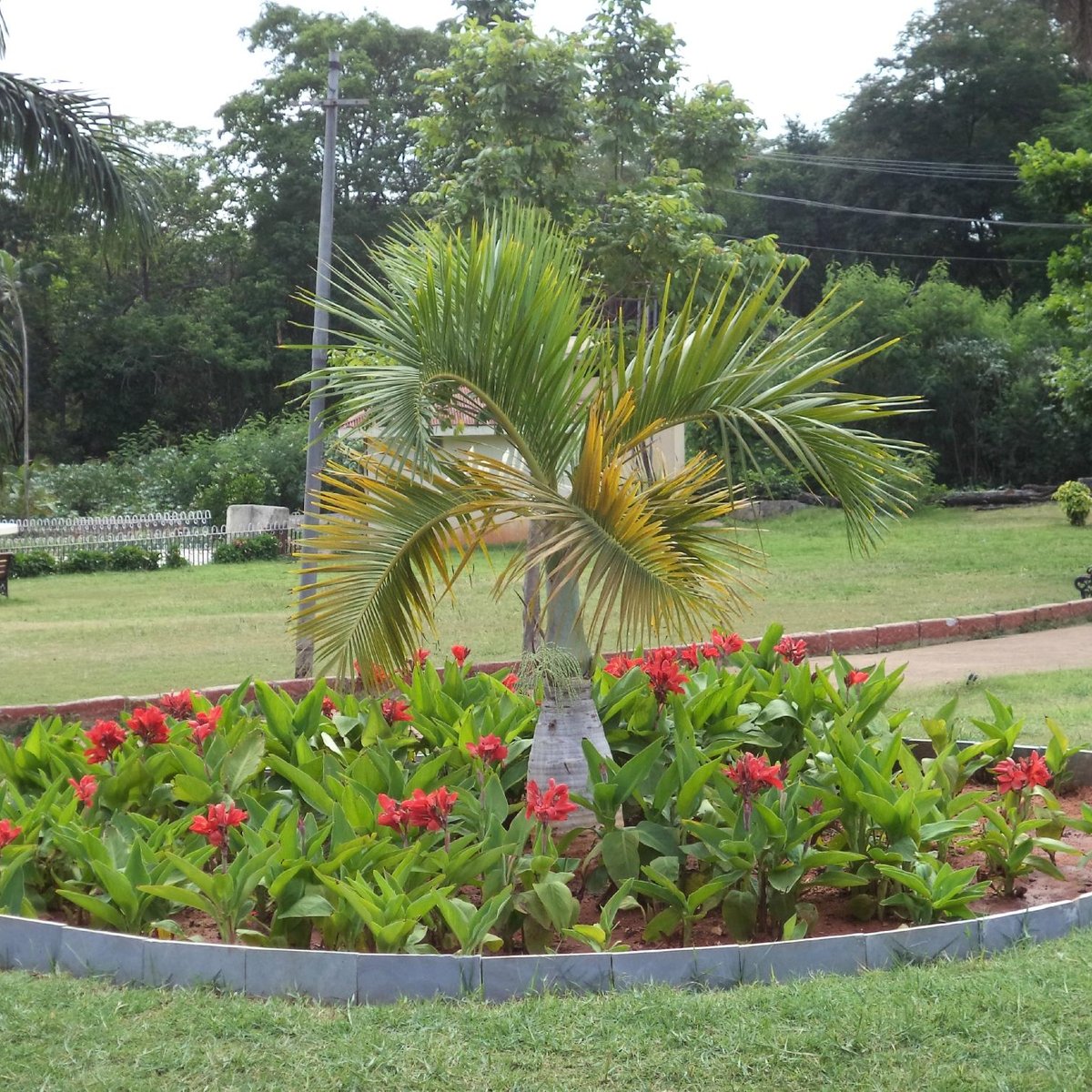 Indira Park - All You Need to Know BEFORE You Go (2024) - Tripadvisor