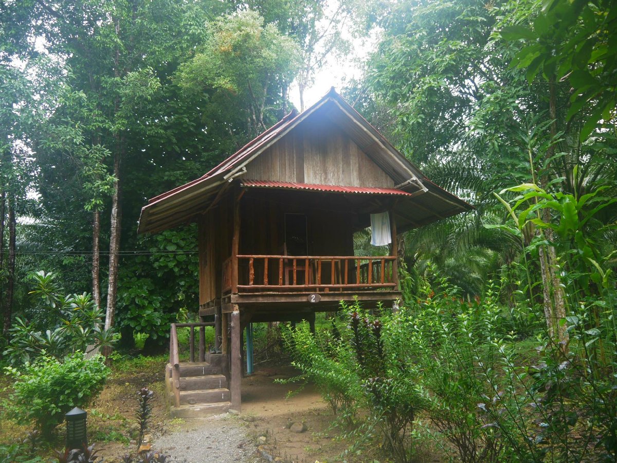 Джунгли зовут!!! - отзыв о Khao Sok Nature Resort, Клонг-Сок, Таиланд -  Tripadvisor