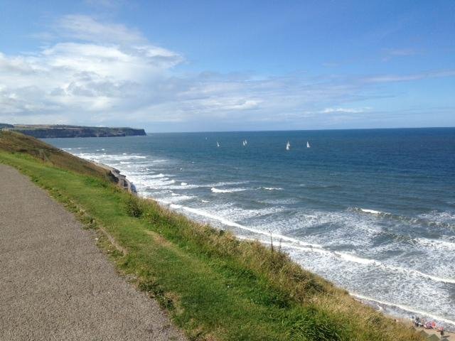 can you take dogs on the beach at whitby