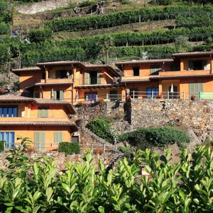 Residence Orange