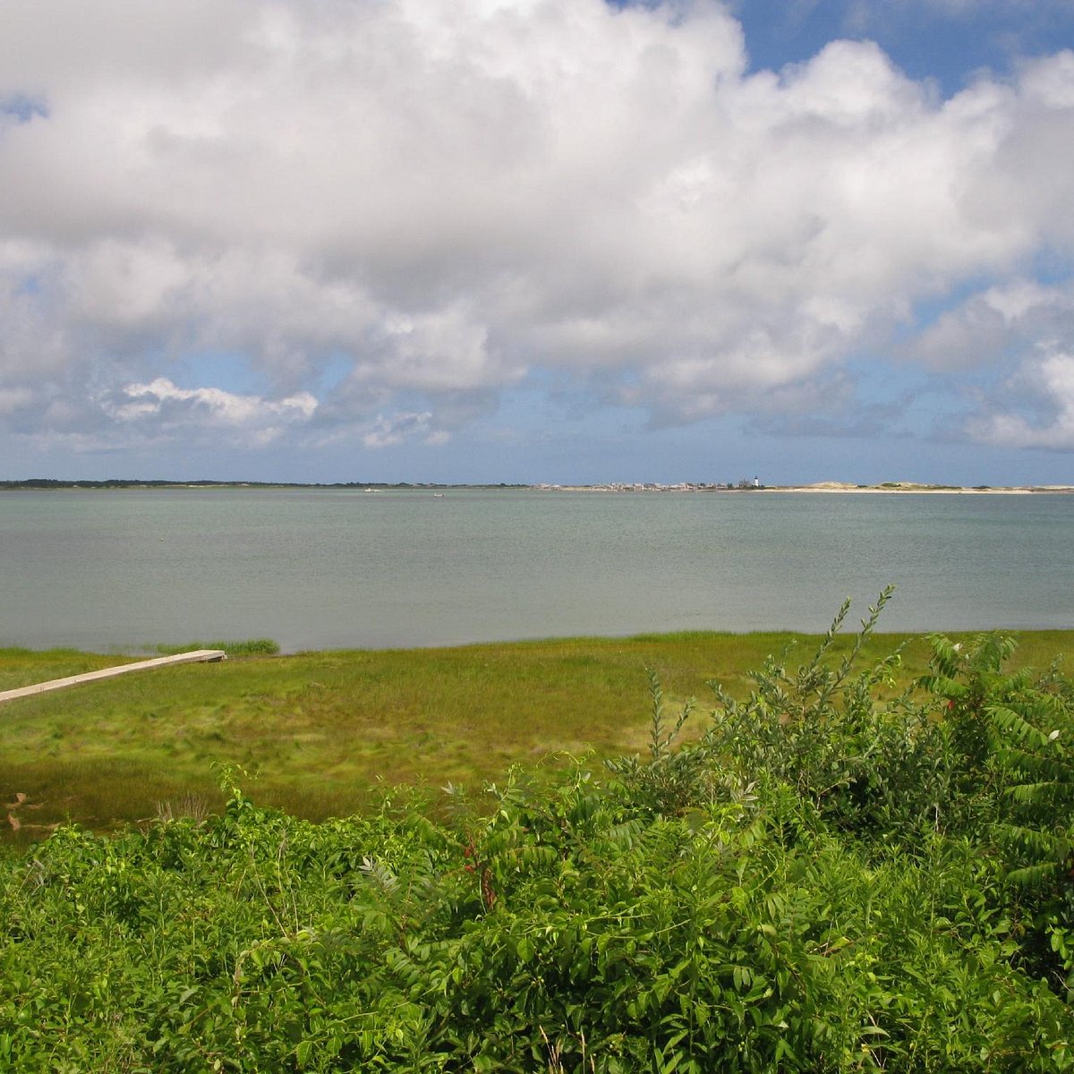 Long Pasture Wildlife Sanctuary Barnstable All You Need To Know