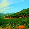 Things To Do in Napa Valley and Sonoma, Wine Tours, Restaurants in Napa Valley and Sonoma, Wine Tours