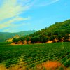 Things To Do in 6-Hour Private Napa Wine Tour in a Lincoln MKT Crossover (up to 4 Passengers), Restaurants in 6-Hour Private Napa Wine Tour in a Lincoln MKT Crossover (up to 4 Passengers)