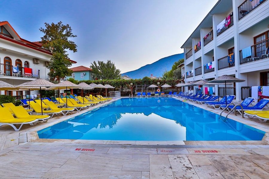 tripadvisor