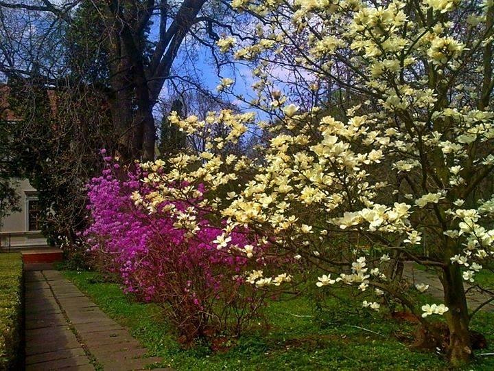 Садик апрель. Ботанический сад в апреле. Сад в апреле. Яркий сад от апреля до октября.