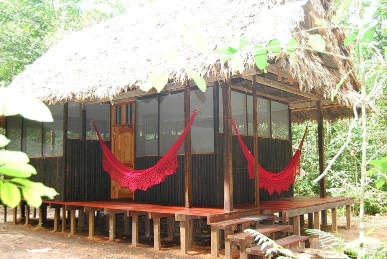 Madidi Jungle Ecolodge Rooms: Pictures & Reviews - Tripadvisor