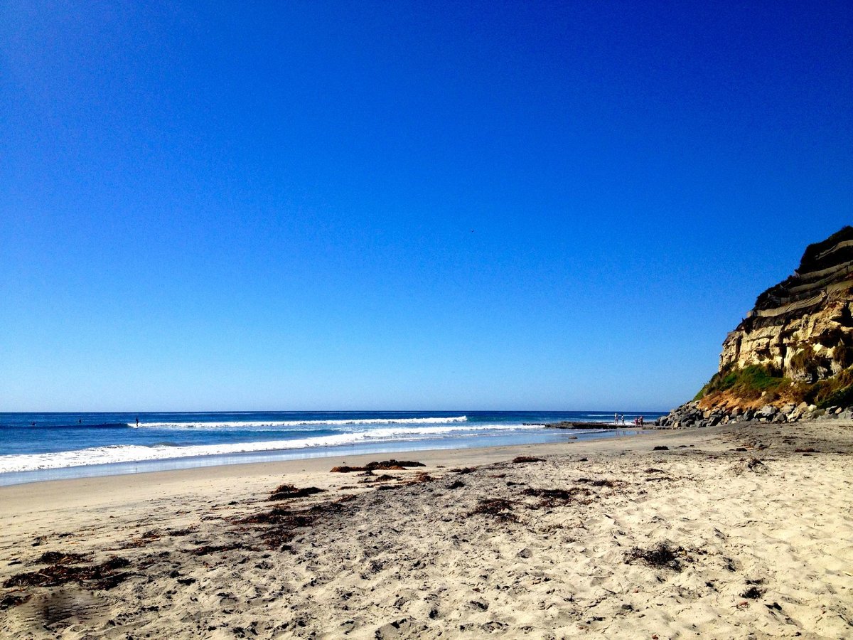 Swami's Beach (Encinitas) - Lo que se debe saber antes de viajar ...