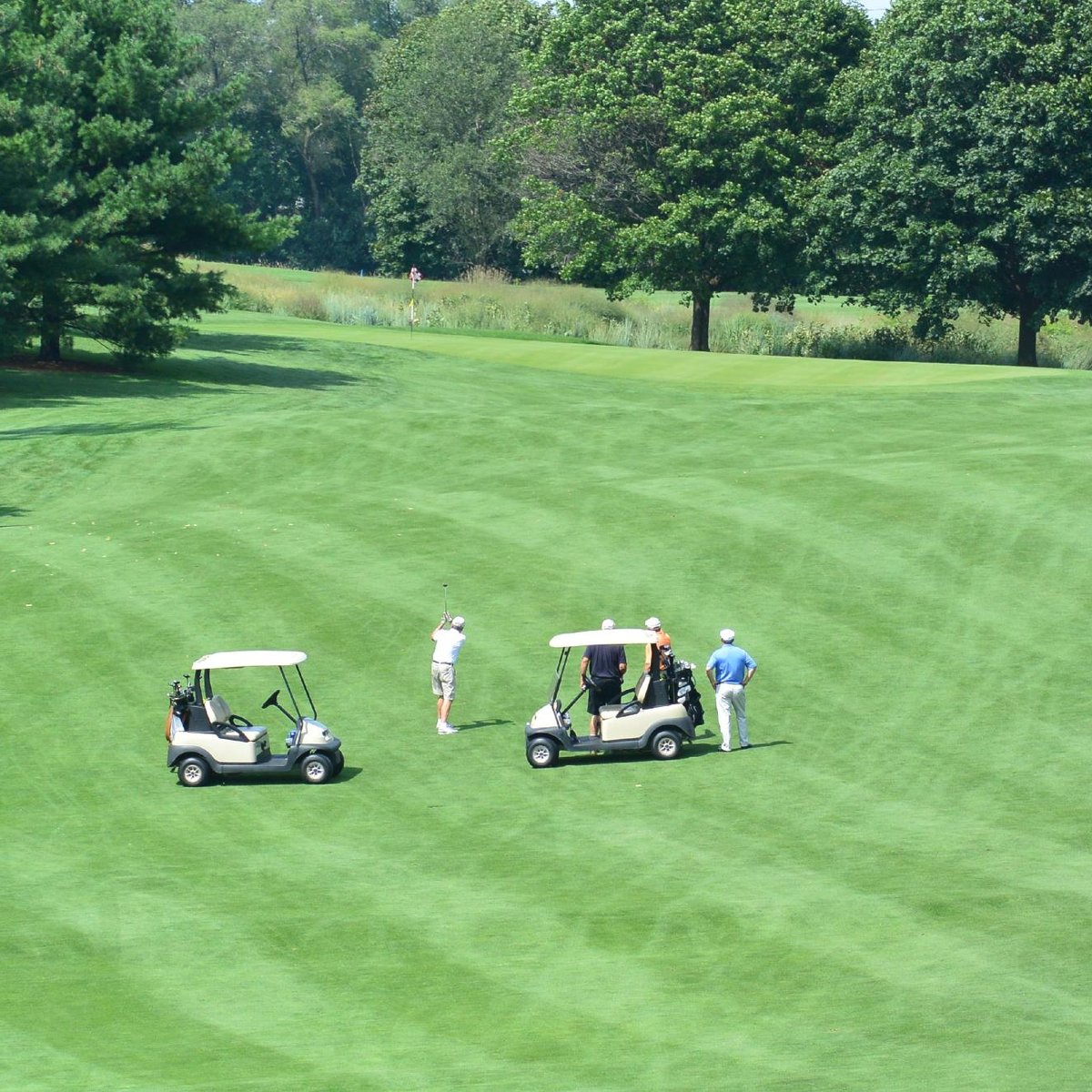 Downers Grove Golf Club All You Need to Know BEFORE You Go