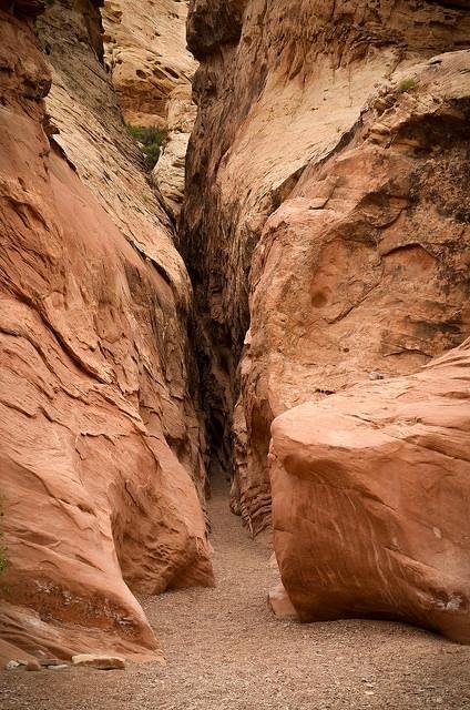 little-wild-horse-canyon.jpg