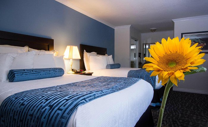 Our guest rooms feature a microwave and mini-fridge for ease and  convenience. - Picture of Norco, California - Tripadvisor