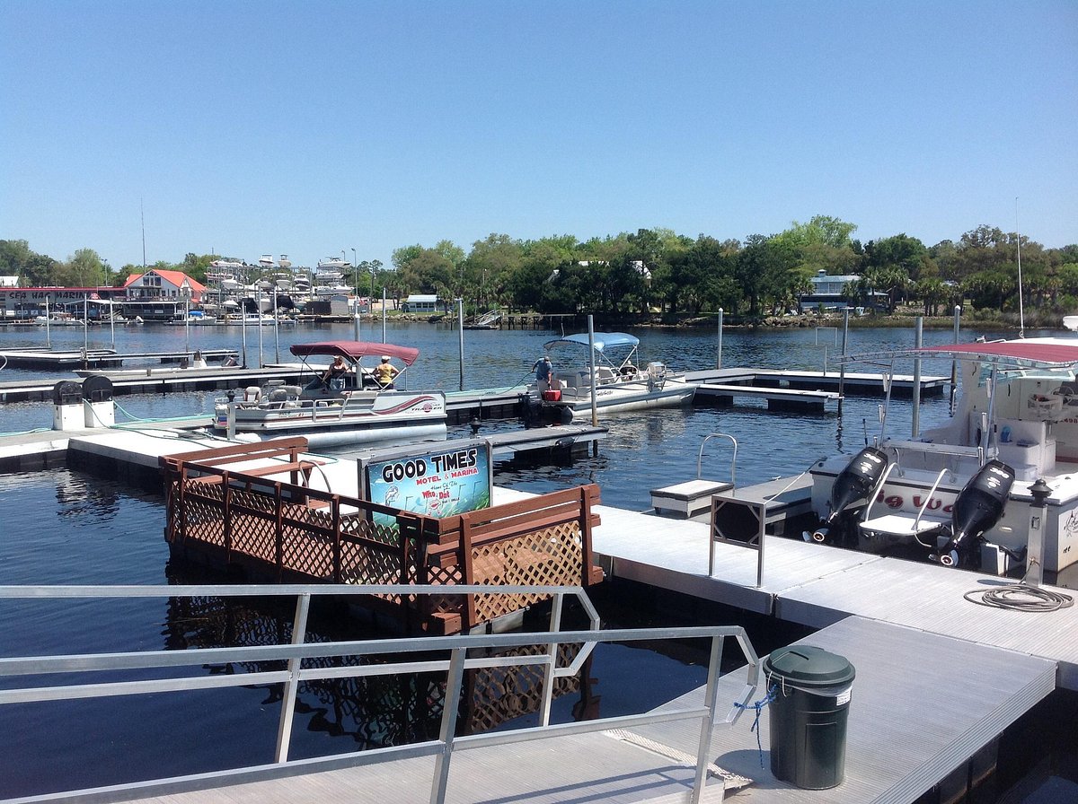 Latest News by Steinhatchee Marina for Florida