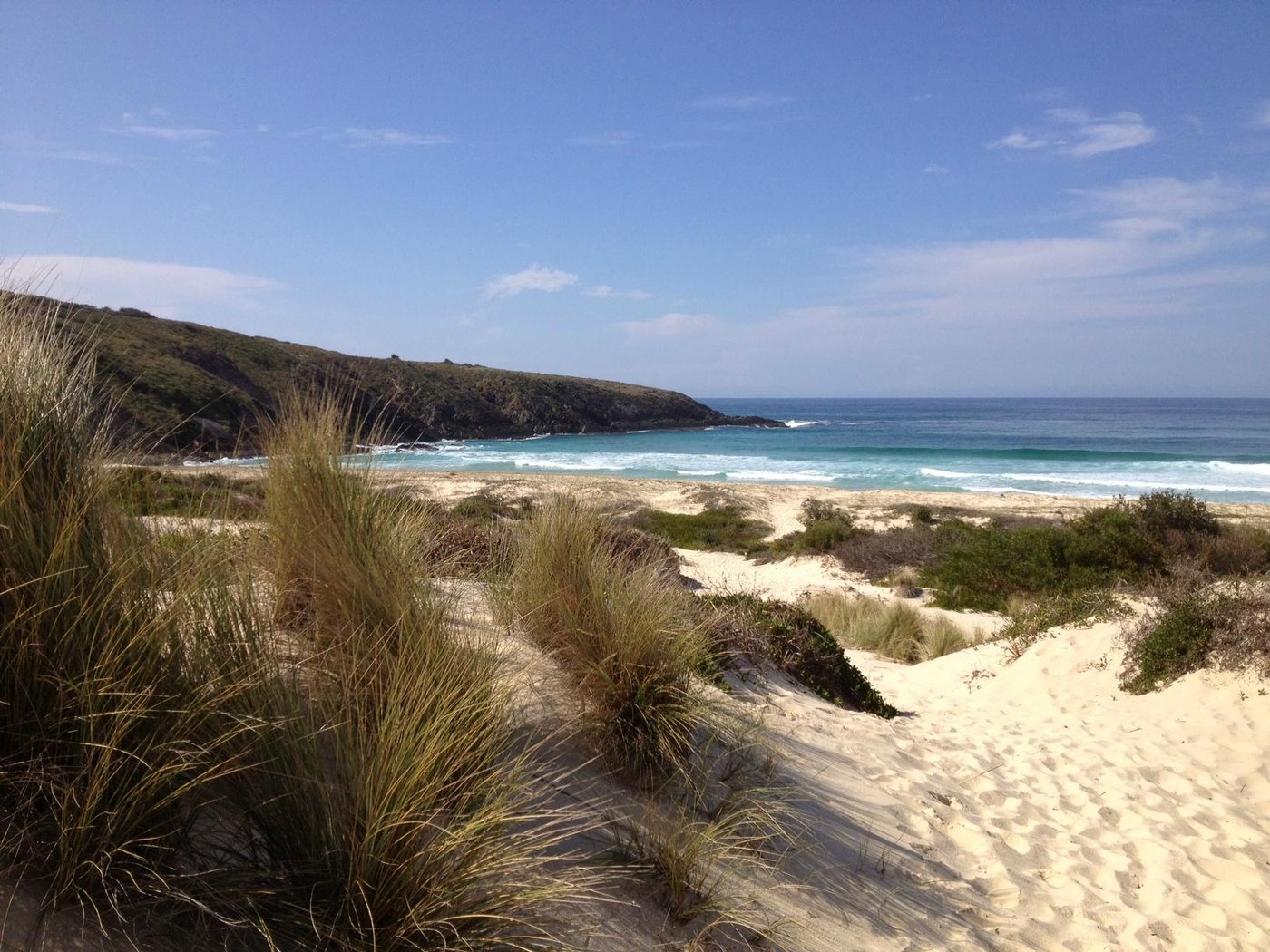 TREACHERY CAMP SEAL ROCKS: 2024 Reviews (Myall Lakes National Park ...