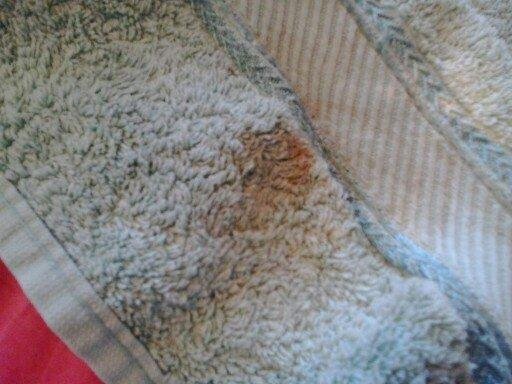 Towel