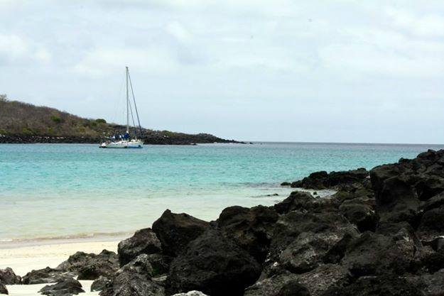 ISLA LOBOS (San Cristobal) - 2023 Qué SABER antes de ir