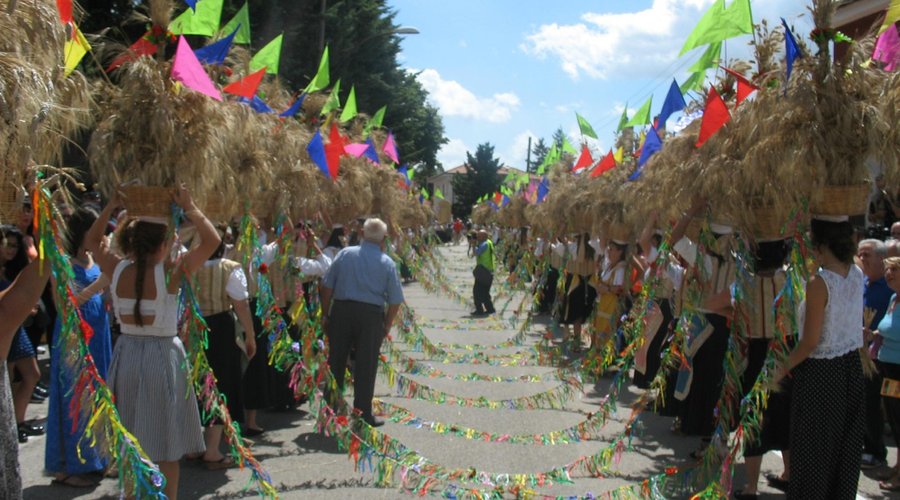 Sfilata durante la Festa del Grano 2014