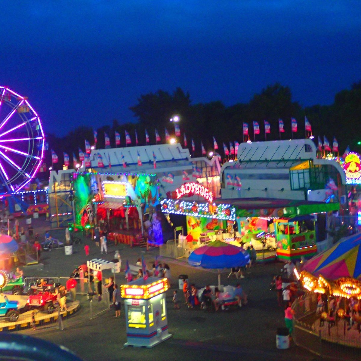 Minnesota State Fair (Saint Paul) All You Need to Know BEFORE You Go