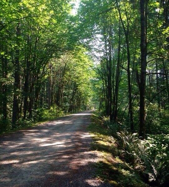 Lake Wilderness Arboretum image