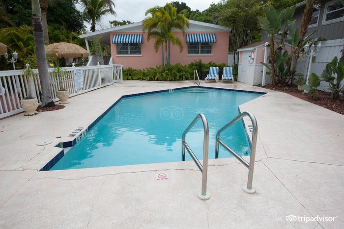 Siesta Key Bungalows Pool: Pictures & Reviews - Tripadvisor