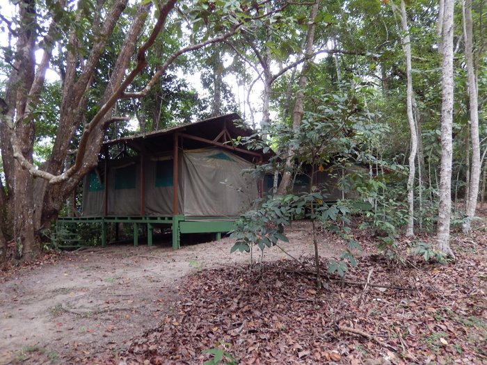LOANGO LODGE Bewertungen & Fotos (Loango National Park, Gabun