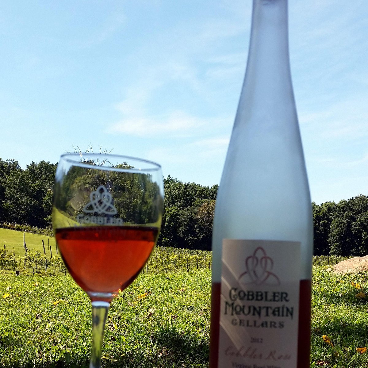Credit Valley Beverages Georgetown Bottle (JEF) Credit Valley Beverages Georgetown Bottle (JEF)