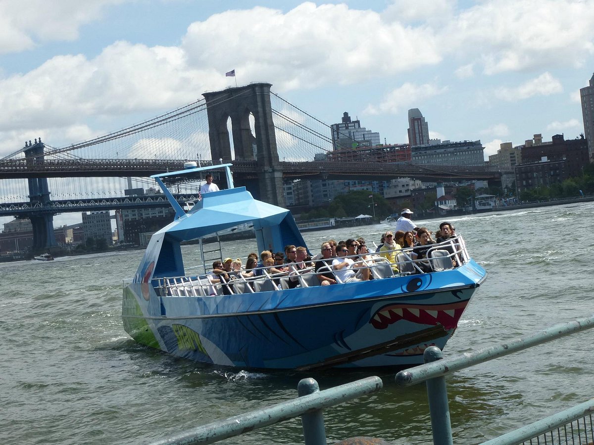 Shark Speedboat Ride, Нью-Йорк: лучшие советы перед посещением - Tripadvisor