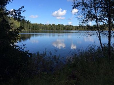 Skovde, Sweden 2023: Best Places to Visit - Tripadvisor