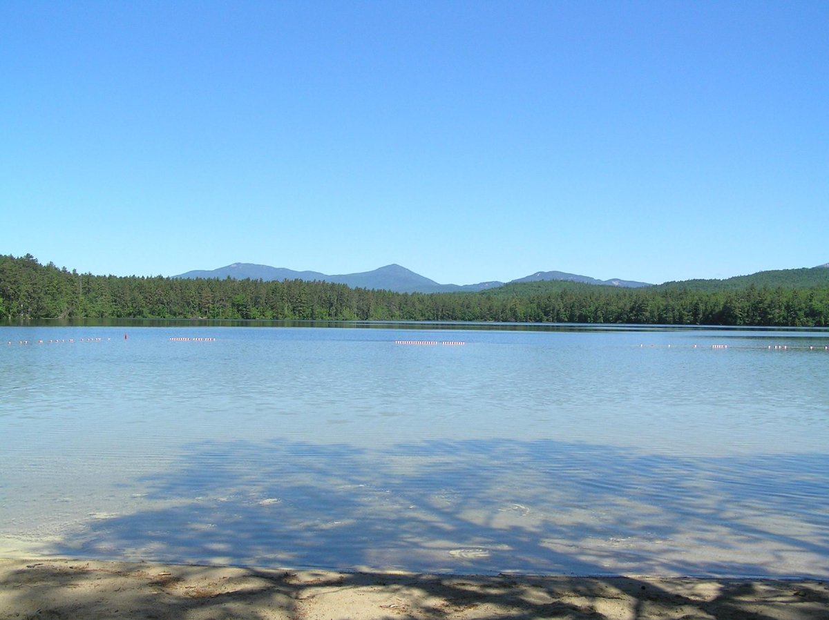 White Lake State Park: NH’s Hidden Gem Awaits!