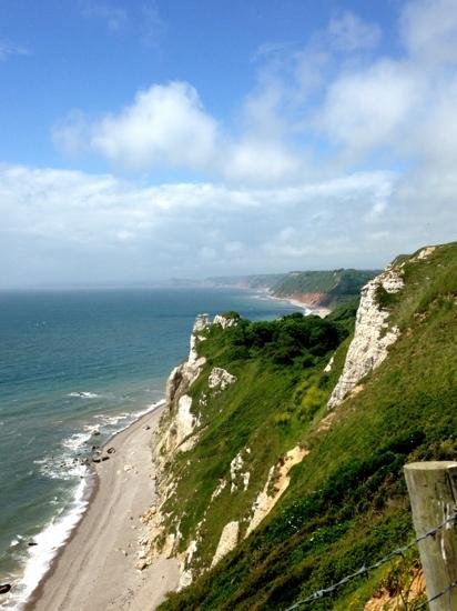 GREAT SEASIDE B & B - B&B Reviews (Beer, Devon)