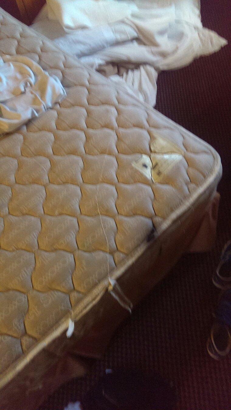 Motel 6 santa cruz ca updated prices reviews photos