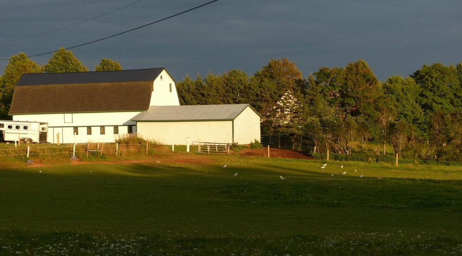 The Woodmere barn