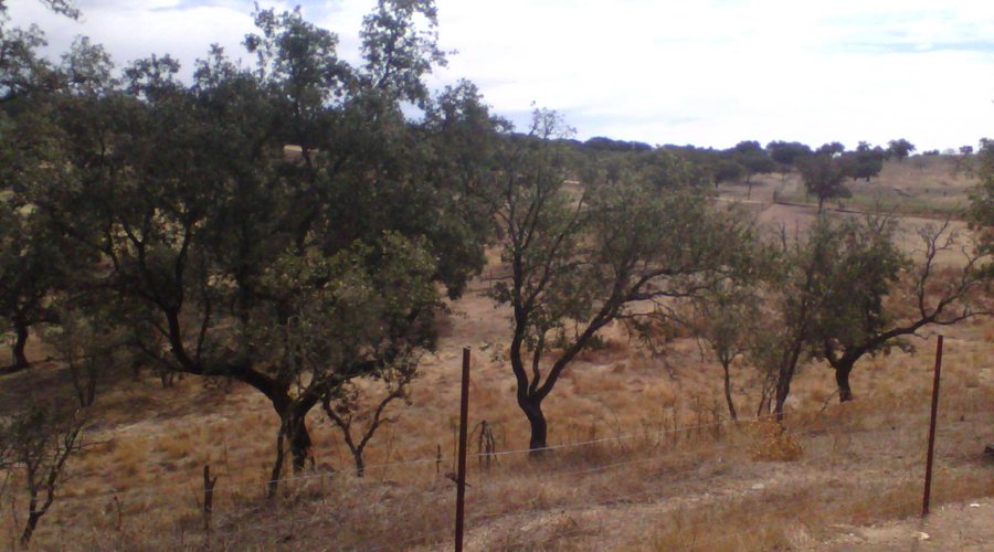 Vistas de la finca