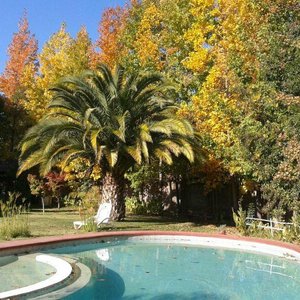 ZONA DE PISCINA