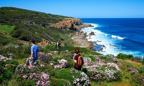 Cape to Cape Walking Trail