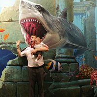 Shark attack!
