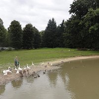 Etang