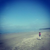Beach at Joseph Whidbey State Park
